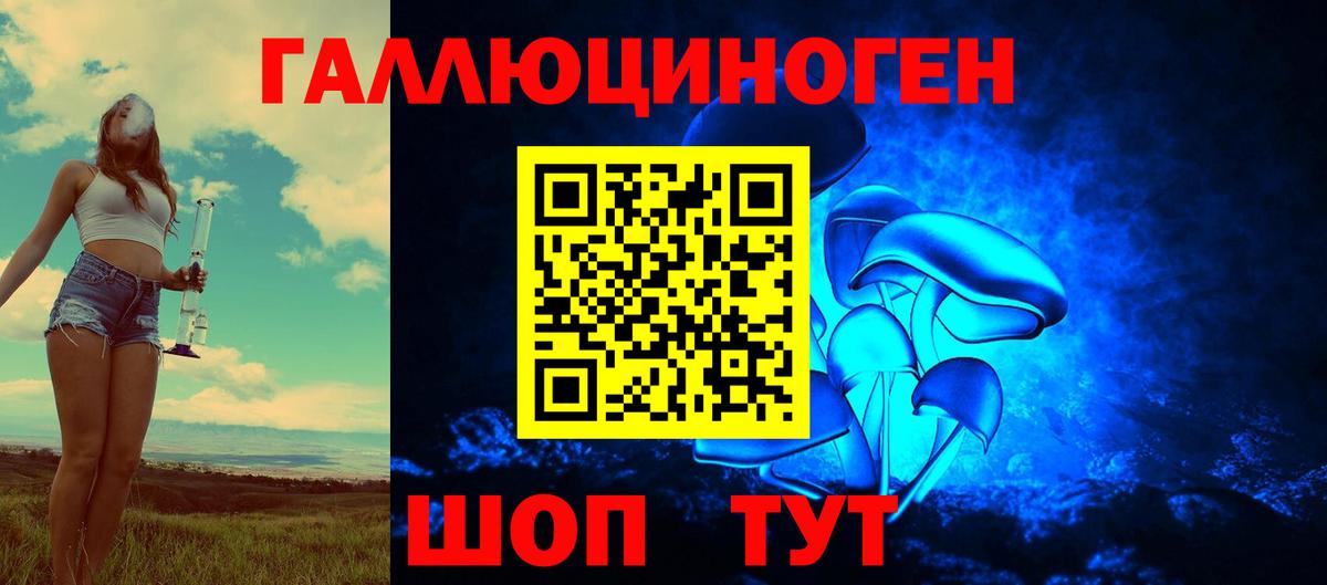 Псилоцибиновые грибы Psilocybine cubensis  Вход с VPN  Кудрово 