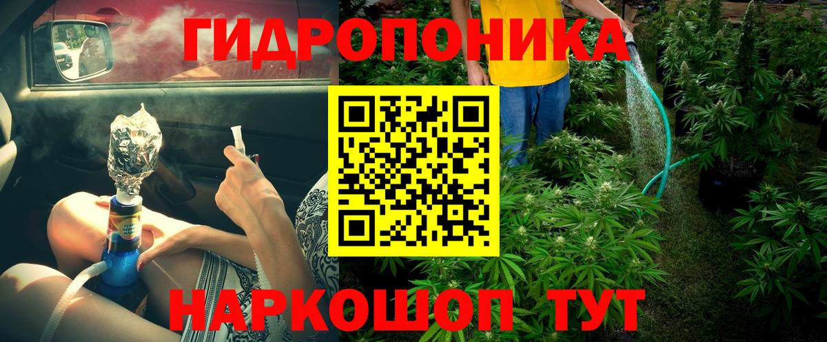 Конопля план Кудрово